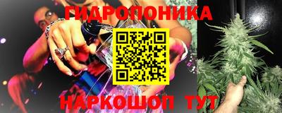стаф Краснодар