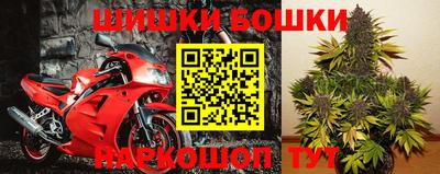 индика Краснокаменск